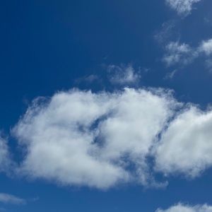 Meet your Posher, Nathaniel